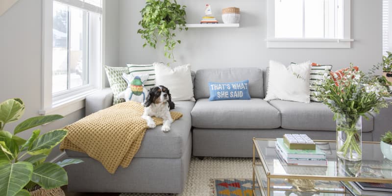 The Best Sofas for Kids and Pets 2024 Apartment Therapy